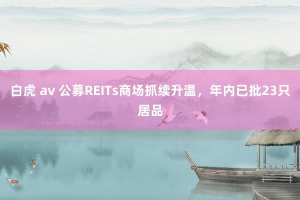 白虎 av 公募REITs商场抓续升温，年内已批23只居品