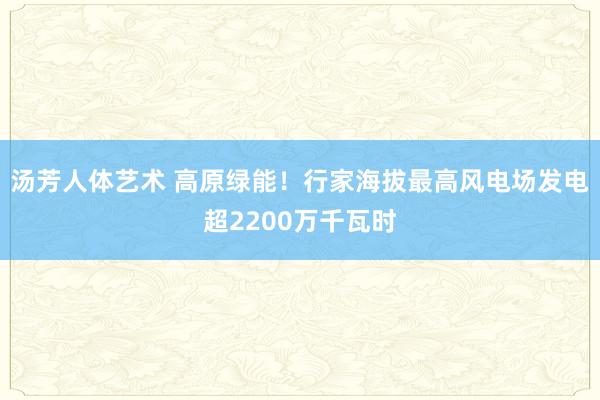 汤芳人体艺术 高原绿能！行家海拔最高风电场发电超2200万千瓦时
