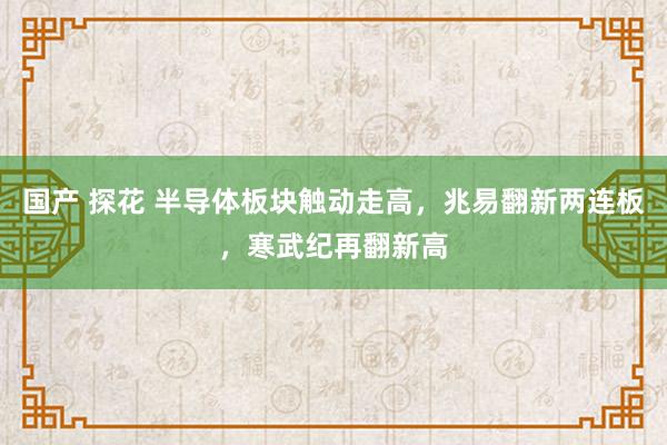 国产 探花 半导体板块触动走高，兆易翻新两连板，寒武纪再翻新高