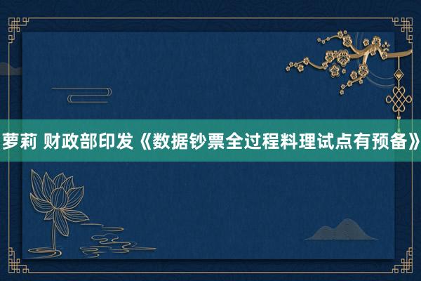 萝莉 财政部印发《数据钞票全过程料理试点有预备》