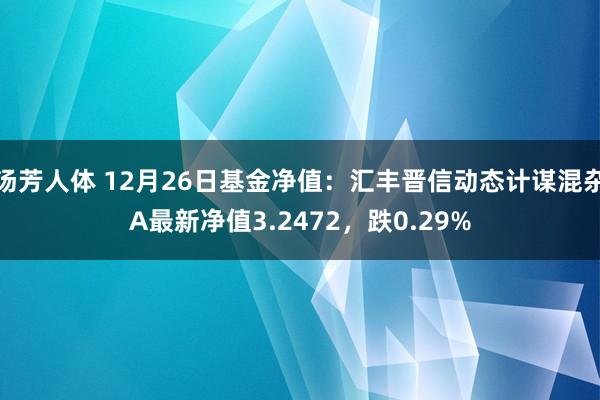 汤芳人体 12月26日基金净值：汇丰晋信动态计谋混杂A最新净值3.2472，跌0.29%