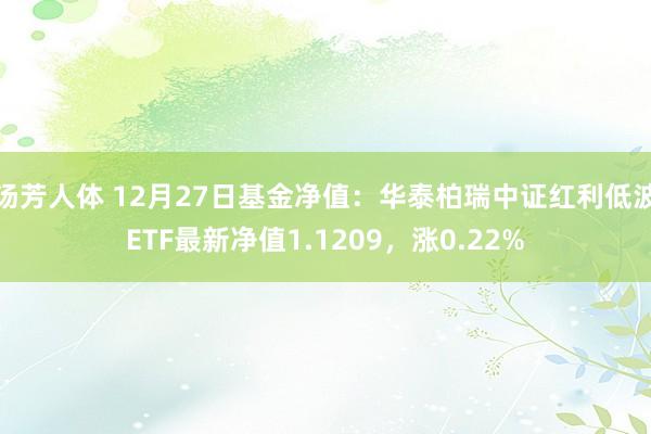 汤芳人体 12月27日基金净值：华泰柏瑞中证红利低波ETF最新净值1.1209，涨0.22%