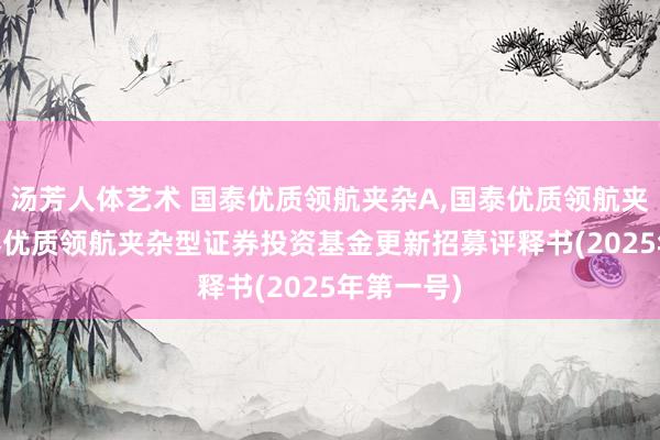 汤芳人体艺术 国泰优质领航夹杂A,国泰优质领航夹杂C: 国泰优质领航夹杂型证券投资基金更新招募评释书(2025年第一号)