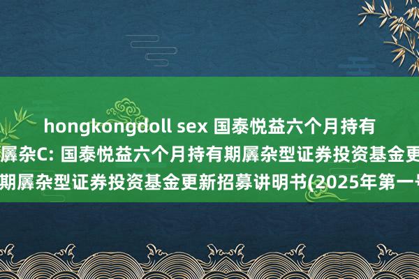 hongkongdoll sex 国泰悦益六个月持有羼杂A,国泰悦益六个月持有羼杂C: 国泰悦益六个月持有期羼杂型证券投资基金更新招募讲明书(2025年第一号)