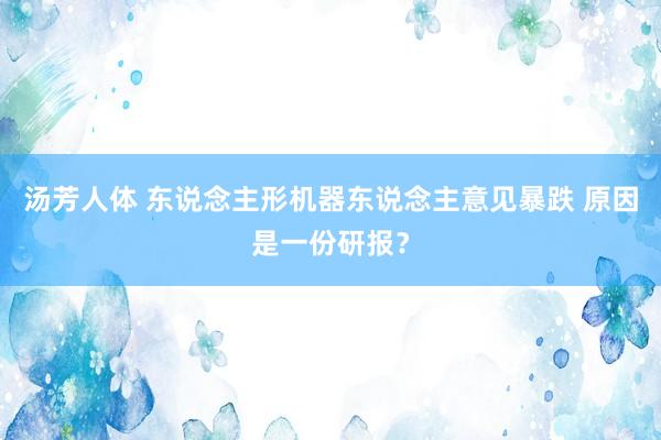 汤芳人体 东说念主形机器东说念主意见暴跌 原因是一份研报？