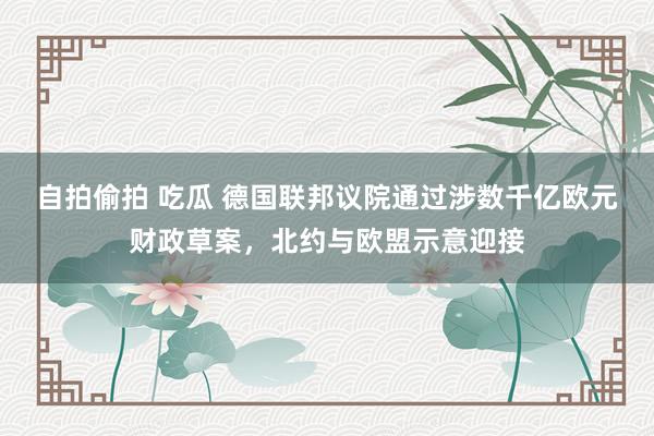 自拍偷拍 吃瓜 德国联邦议院通过涉数千亿欧元财政草案，北约与欧盟示意迎接