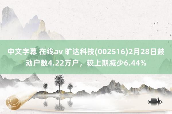 中文字幕 在线av 旷达科技(002516)2月28日鼓动户数4.22万户，较上期减少6.44%