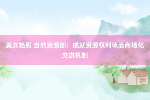 美女艳照 当然资源部：成就资源权利琢磨商场化交游机制