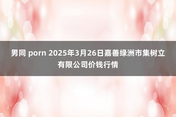 男同 porn 2025年3月26日嘉善绿洲市集树立有限公司价钱行情