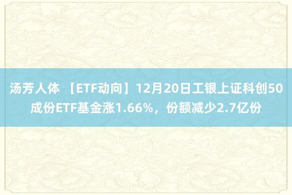 汤芳人体 【ETF动向】12月20日工银上证科创50成份ETF基金涨1.66%，份额减少2.7亿份