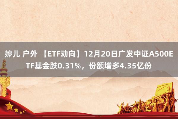 婷儿 户外 【ETF动向】12月20日广发中证A500ETF基金跌0.31%，份额增多4.35亿份