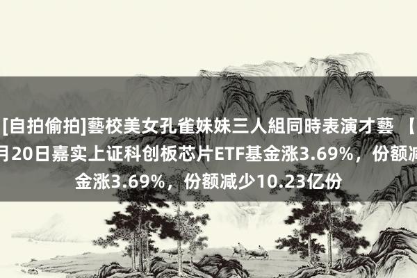 [自拍偷拍]藝校美女孔雀妹妹三人組同時表演才藝 【ETF动向】12月20日嘉实上证科创板芯片ETF基金涨3.69%，份额减少10.23亿份