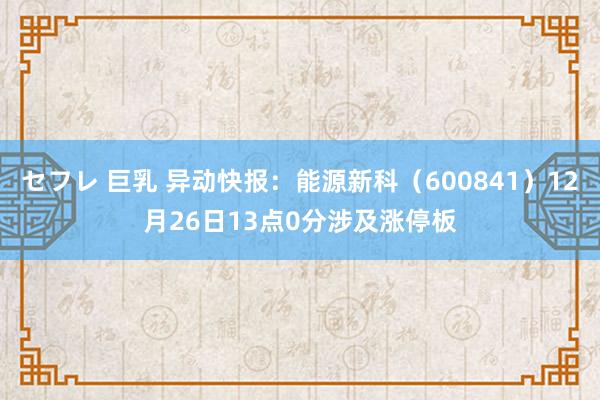 セフレ 巨乳 异动快报：能源新科（600841）12月26日13点0分涉及涨停板