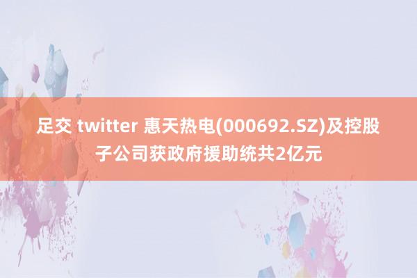 足交 twitter 惠天热电(000692.SZ)及控股子公司获政府援助统共2亿元