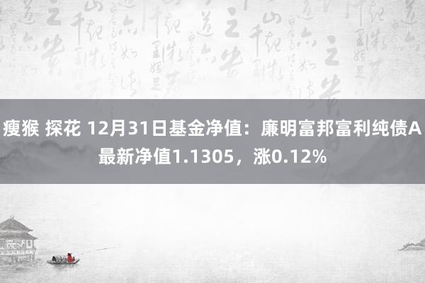 瘦猴 探花 12月31日基金净值：廉明富邦富利纯债A最新净值1.1305，涨0.12%