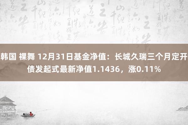 韩国 裸舞 12月31日基金净值：长城久瑞三个月定开债发起式最新净值1.1436，涨0.11%