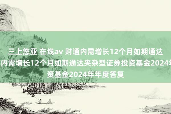三上悠亚 在线av 财通内需增长12个月如期通达夹杂: 财通内需增长12个月如期通达夹杂型证券投资基金2024年年度答复