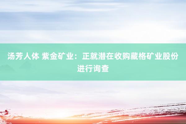 汤芳人体 紫金矿业：正就潜在收购藏格矿业股份进行询查