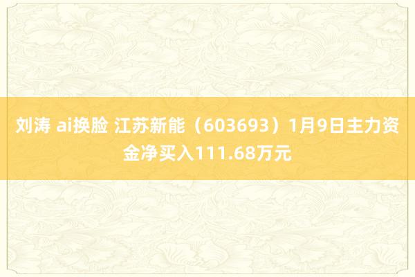 刘涛 ai换脸 江苏新能（603693）1月9日主力资金净买入111.68万元