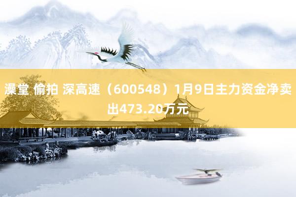 澡堂 偷拍 深高速（600548）1月9日主力资金净卖出473.20万元