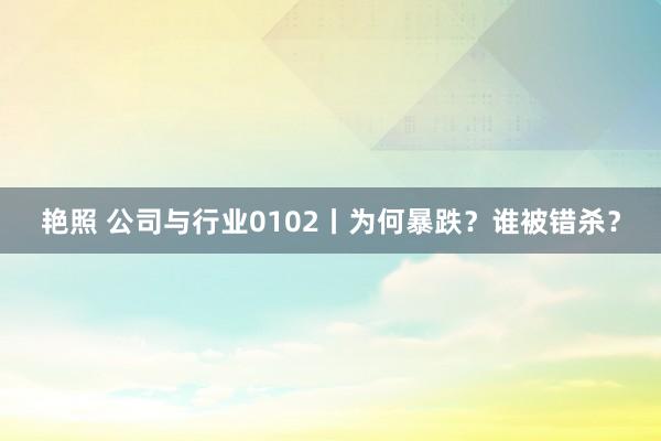 艳照 公司与行业0102丨为何暴跌？谁被错杀？