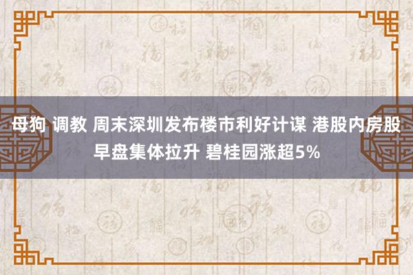 母狗 调教 周末深圳发布楼市利好计谋 港股内房股早盘集体拉升 碧桂园涨超5%