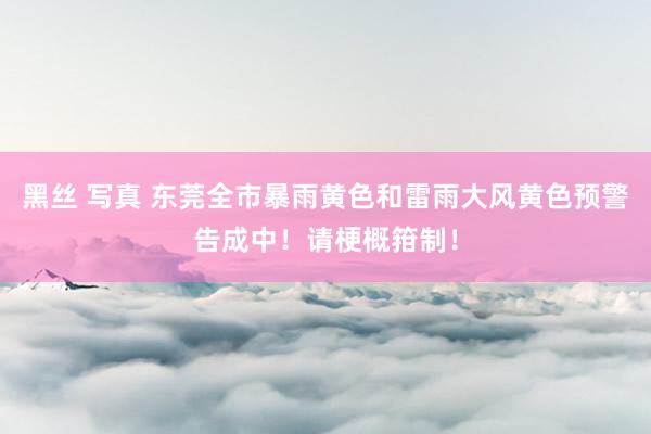 黑丝 写真 东莞全市暴雨黄色和雷雨大风黄色预警告成中！请梗概箝制！