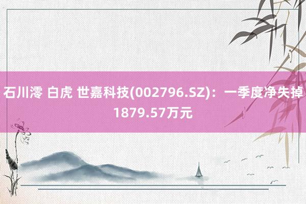 石川澪 白虎 世嘉科技(002796.SZ):一季度净失掉1879.57万元