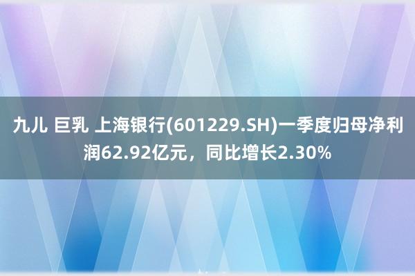 九儿 巨乳 上海银行(601229.SH)一季度归母净利润62.92亿元，同比增长2.30%