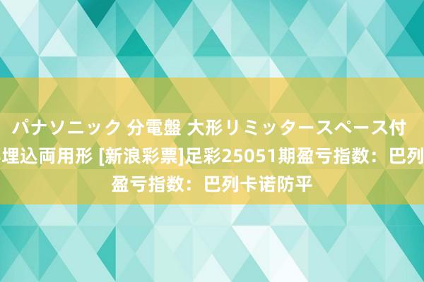 パナソニック 分電盤 大形リミッタースペース付 露出・半埋込両用形 [新浪彩票]足彩25051期盈亏指数：巴列卡诺防平
